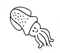 幼儿卡通乌贼的画法简笔画教程简单可爱