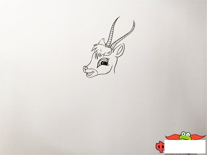 小藏羚羊怎么画简笔画，藏羚羊的简笔画可爱
