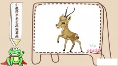 小藏羚羊怎么画简笔画，藏羚羊的简笔画可爱