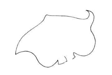 蝙蝠鱼简笔画图片