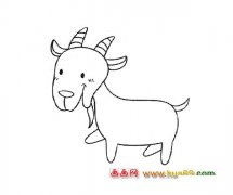 动物简笔画：一只小山羊1