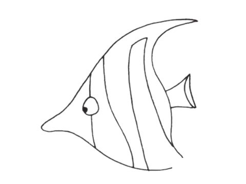 热带观赏鱼简笔画图片大全作品二