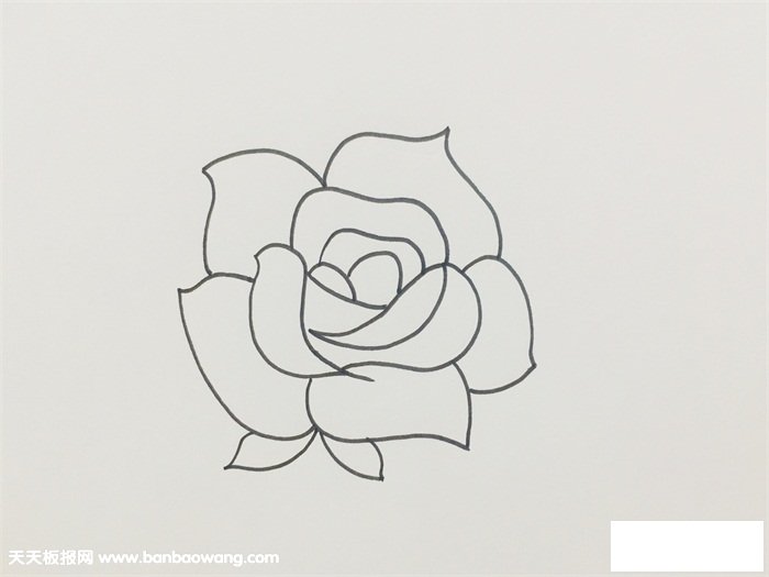 盛开玫瑰花的画法步骤