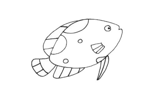 热带观赏鱼简笔画图片