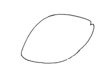 热带观赏鱼简笔画图片