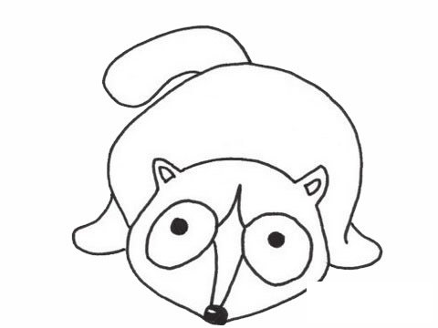 浣熊简笔画图片大全作品四