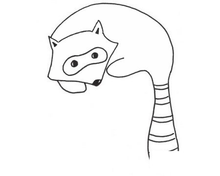 浣熊简笔画图片大全作品三