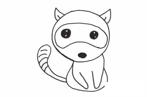 浣熊简笔画图片