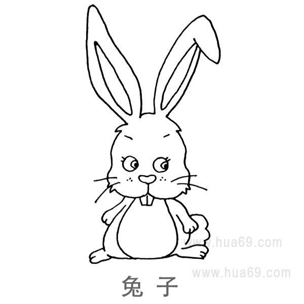 儿童简笔画:长牙兔子