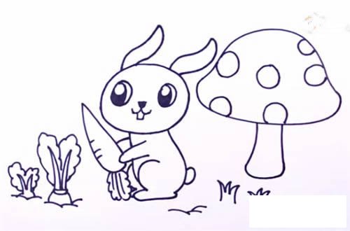 偷萝卜的兔子简笔画步骤教程