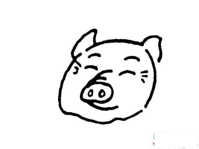 猪头简笔画图片