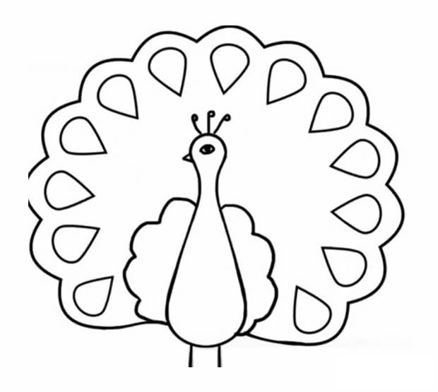 孔雀开屏带颜色简笔画 教你画美丽的孔雀简笔画步骤图片教程