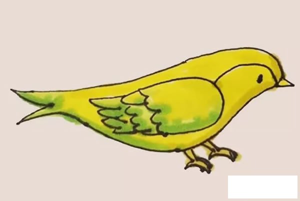 黄鹂简笔画