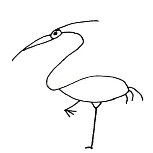 一组丹顶鹤简笔画图片