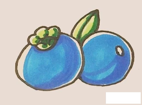 蓝莓简笔画图片