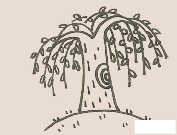 柳树简笔画图片