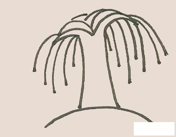 柳树简笔画图片