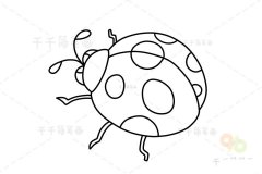 七星瓢虫简笔画 一看就会