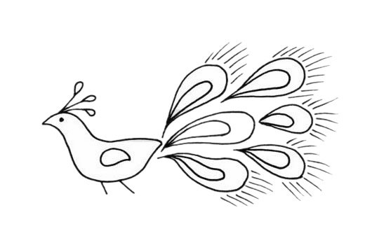 孔雀简笔画图片大全作品二