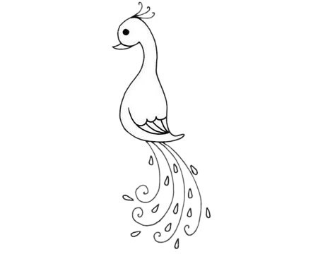 孔雀简笔画图片大全作品一