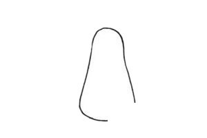 孔雀简笔画图片