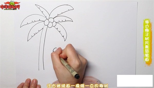 海边椰子树风景简笔画