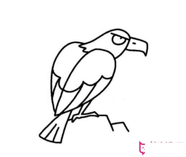 儿童老鹰简笔画图片,雄鹰展翅图片简笔画