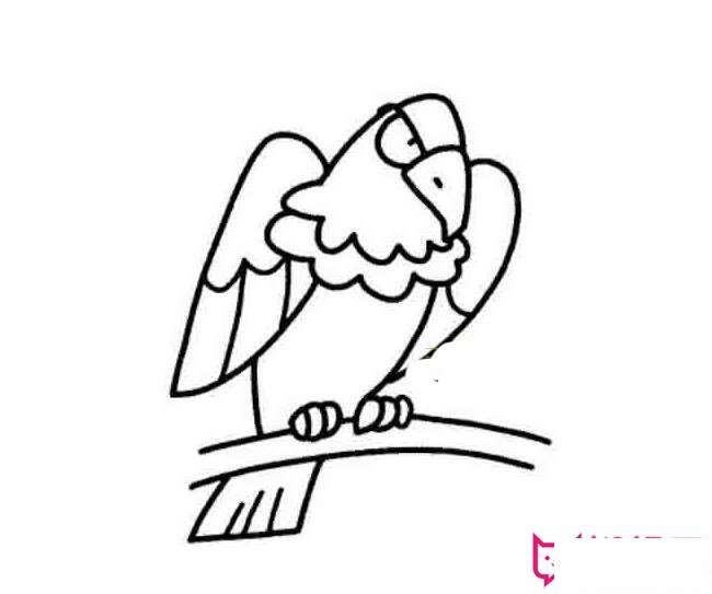儿童老鹰简笔画图片,雄鹰展翅图片简笔画