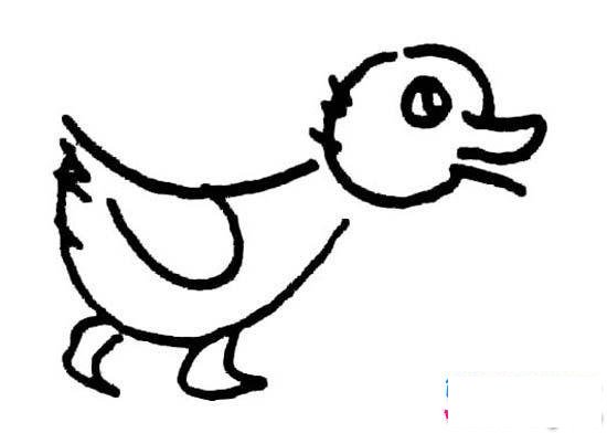 幼儿园画鸭子的简笔画