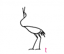 简易的丹顶鹤简笔画画法