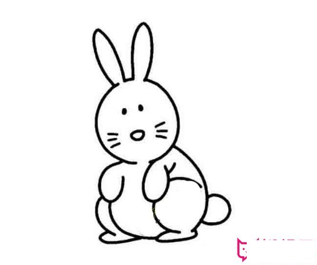 小兔子简笔画图片大全,可爱的小兔子