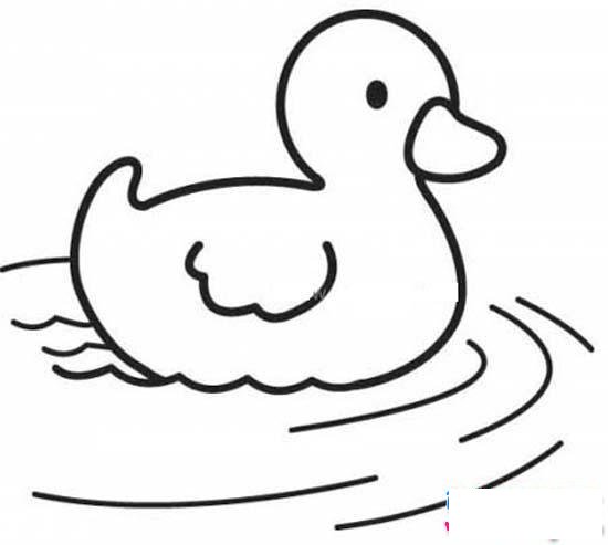水里游的鸭子简笔画