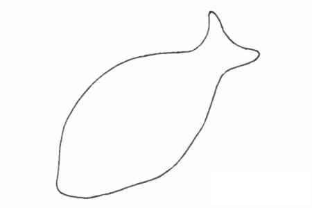 深海鱼简笔画图片