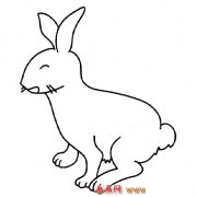 动物简笔画│小白兔3