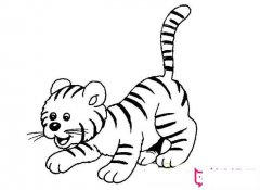 可爱小老虎简笔画大全