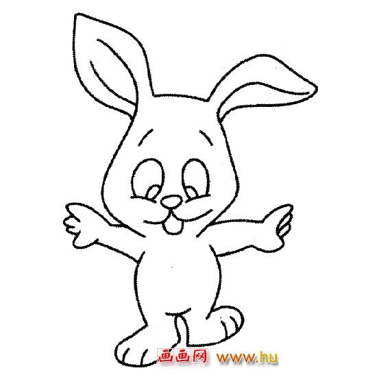 简笔画│卡通小白兔3
