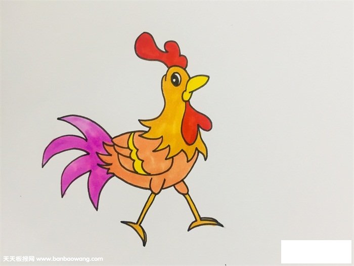 艳丽的大公鸡画
