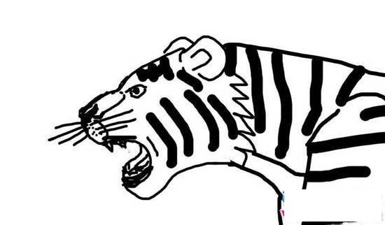 凶猛老虎头像简笔画