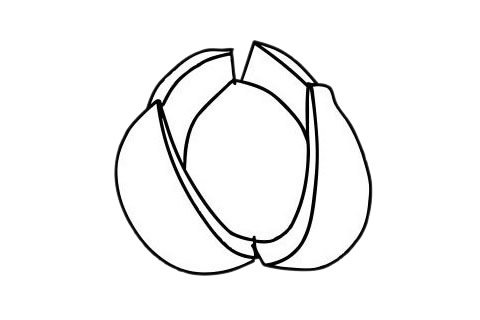 柚子简笔画图片