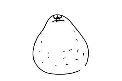 柚子简笔画图片