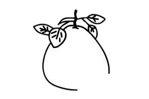 柚子简笔画图片