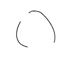 柚子简笔画图片