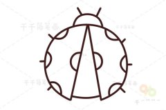七星瓢虫简笔画 儿童画昆虫