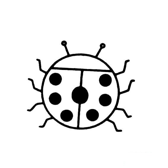 怎样画出简单的七星瓢虫画法昆虫类