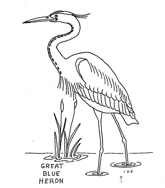 儿童画丹顶鹤怎么画素描简单漂亮