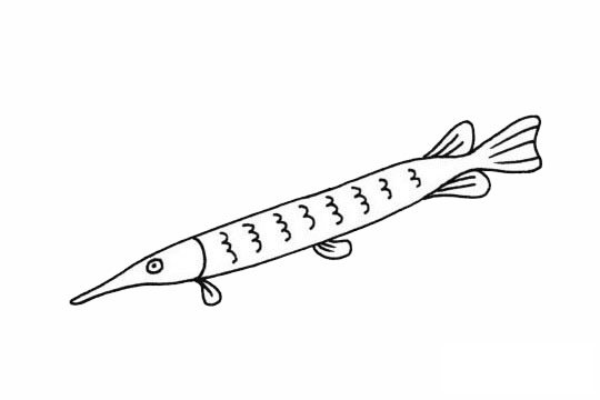 剑鱼简笔画图片大全作品三