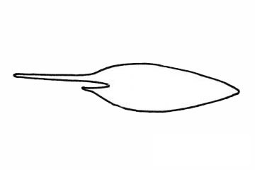 剑鱼简笔画图片