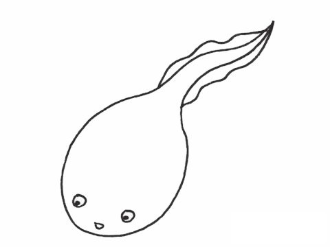 蝌蚪简笔画图片大全作品四