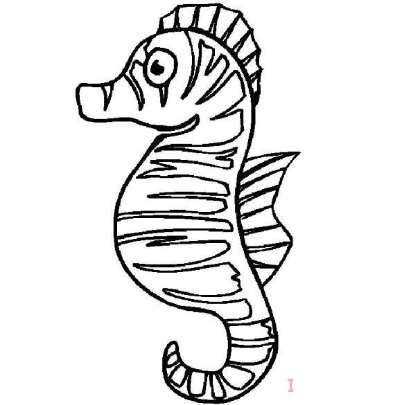 怎么画海马简笔画教程简单可爱