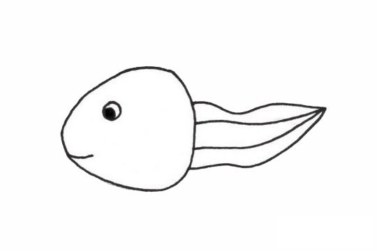 蝌蚪简笔画图片大全作品三